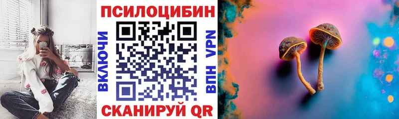 где можно купить   МЕГА ССЫЛКА  Галлюциногенные грибы MAGIC MUSHROOMS  shop как зайти  Питкяранта 